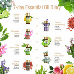 Diary Of Essential Oils Set-12×1.017Oz-Introduction-PHATOIL