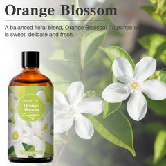 PHATOIL Orange Blossom Fragrance Oils for Aromatherapy, Diffuser, Relaxation, Yoga, Skin Care, DIY Candle and Soap Making, 3.38 fl oz