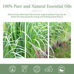 100% Lemongrass Essential Oil-Certificate-PHATOIL