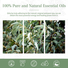100% Eucalyptus Essential Oil-Certificate-PHATOIL