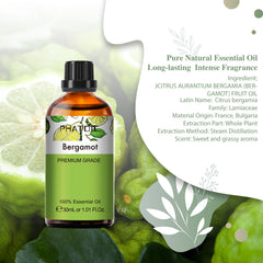 Bergamot Essential Oil 30ml/1.01fl.oz, PHATOIL Premium Bergamot Oils for Diffuser, Soap Making, Candle Making, Long Lasting Scents