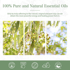 100% Lemon Eucalyptus Essential Oil-Certificate-PHATOIL