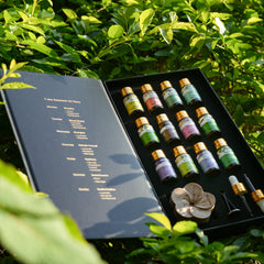 Diary Of Essential Oils Set 12Pcs x 5ML Gift Box