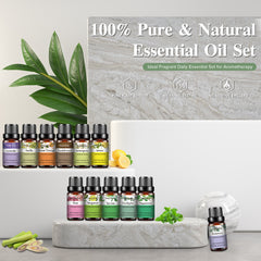 12Pcs x 10ML Essential Oil Set & Aroma Diffusers Gifts