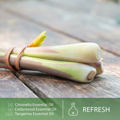 PHATOIL Citronella Essential Oils for Diffusers Humidifier 100% Pure Natural Aromatherapy Massage Bath Sleep Relaxation 30ml/1.01 fl.Oz