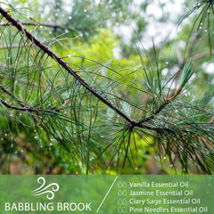 PHATOIL 30ML Pine Needles Essential Oil for Skin, Diffuser, 100% Pure Natural, Cleansing & Nourishing, Herbaceous Scent for Aromatherapy, Soap Making Scent DIY
