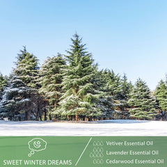 PHATOIL Cedarwood Essential Oils for Diffusers Humidifier 100% Pure Natural Aromatherapy Massage Bath Sleep Relaxation 30ml/1.01 fl.Oz