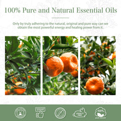 100% Tangerine Essential Oil-Certificate-PHATOIL
