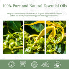 100% Ylang Ylang Essential Oil-Certificate-PHATOIL