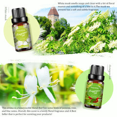 Best Floral Fragrance Oil Set-Introduction-PHATOIL