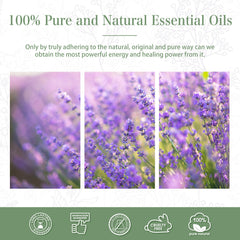 100% Lavender essential oil-Certificate-PHATOIL