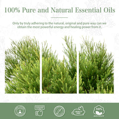 100% Tea Tree Essential Oil-Certificate-PHATOIL