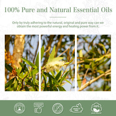 100% Australian Tea Tree Essential Oil-Certificate-PHATOIL