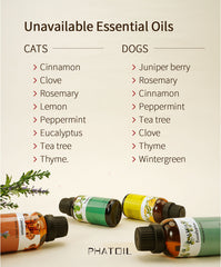 Essential Oils Safe for Pets