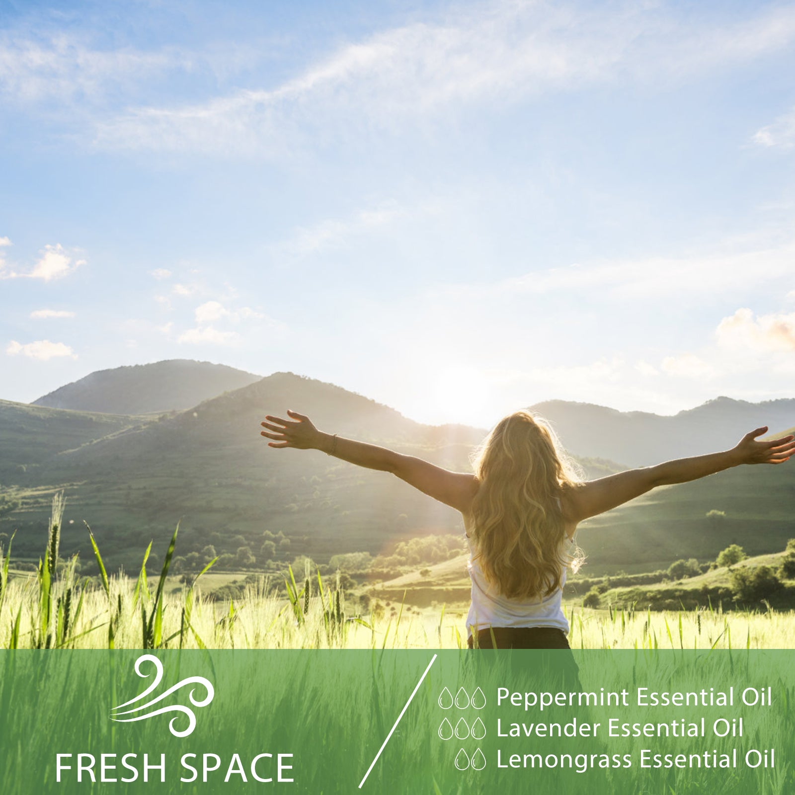 Hot Selling Essential Oil Set For Aromatherapy | Essential