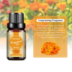Marigold Fragrance Oil-Fragrance Description-PHATOIL