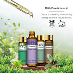 Phatoil 9 Pack Essential Oils Set Aromatherapy Oils Gift Set For Home Humidifiers, 10Ml