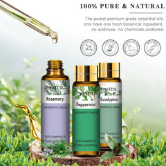 PHATOIL 9PCS Essential Oils Set,  100% Pure for Diffusers, Home Care, Candle Making Scents, Fragrance, Aromatherapy, Humidifiers, Gifts (9 x 10mL)