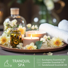 PHATOIL 30ml Eucalyptus Essential Oils for Humidifier 100% Pure Eucalyptus Oil for Massage Relaxation