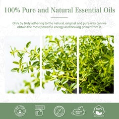 100%  Thyme Essential Oil-Certificate-PHATOIL