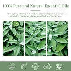 100% Clary Sage Essential Oil-Certificate-PHATOIL