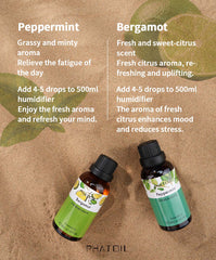 Summer Fresh Essential oils: Peppermint, Bergamot, Lavender, Eucalyptus